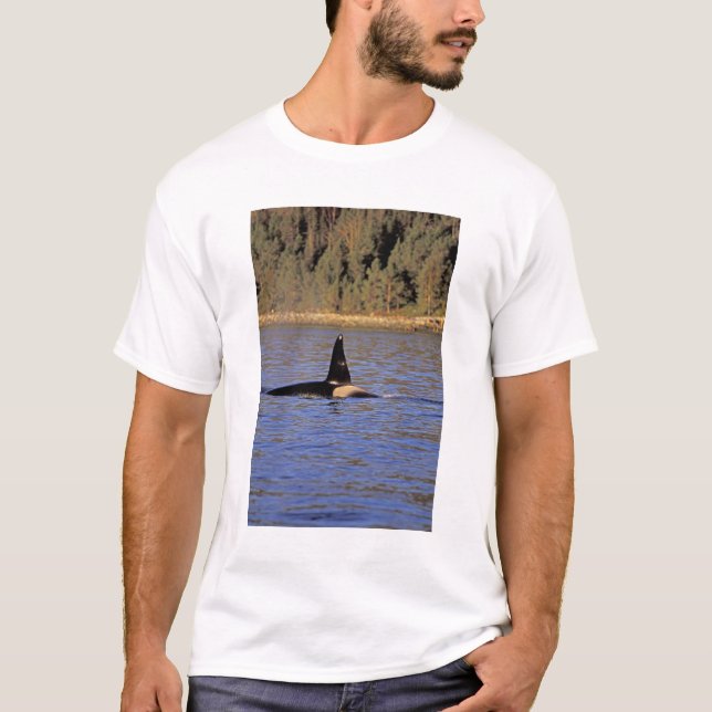 Späckhuggare eller mördarhval. tee (Framsida)