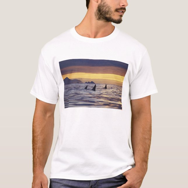 Späckhuggare eller Mördarhvalar Tee (Framsida)