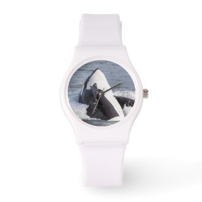 Späckhuggare gör ett hopp ur vattnet armbandsur (Framsida)