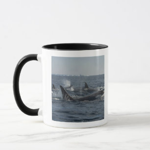 späckhuggare mugg