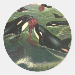 Späckhuggare och Orca, Antikens Havsdäggdjur Runt Klistermärke