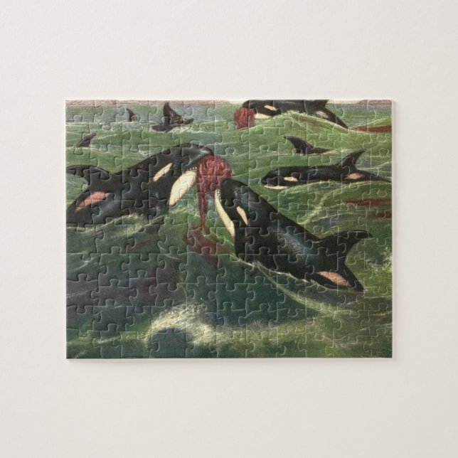 Späckhuggare och Orca, Antikva Marina Däggdjur Pussel (Horisontell)