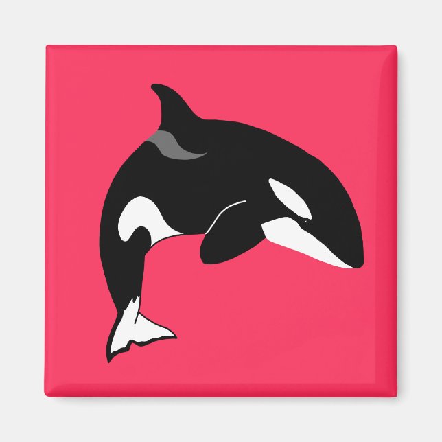 Späckhuggare Orca  Magnet (Framsidan)