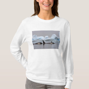 späckhuggare (orca), Orcinus orca, flock Tee Shirt