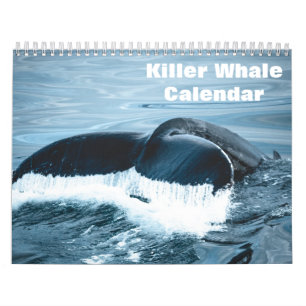 Späckhuggare Orcas 2026 Kalender