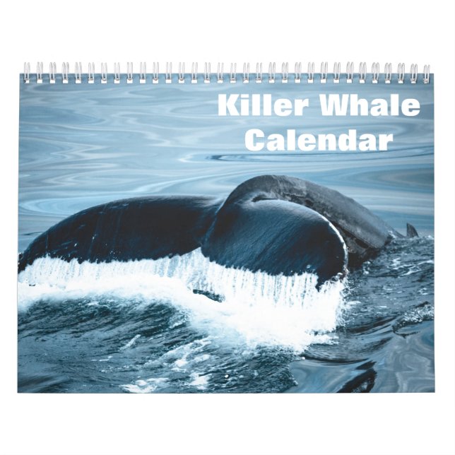Späckhuggare Orcas 2026 Kalender (Omslag)