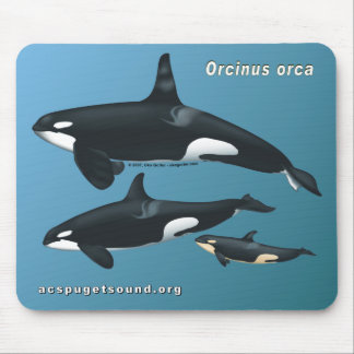 Späckhuggarefamilj Mousepad på krickabakgrund Musmatta