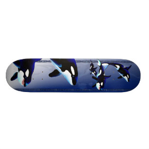 SpäckhuggarefamiljSkateboards Mini Skateboard Bräda 18,5 Cm