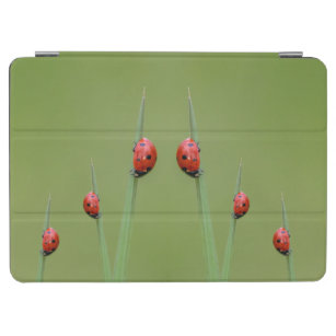 Späd på små ladybuggar för din iPad! iPad Air Skydd