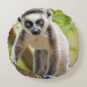Späd ringstjärtad lemur rund kudde