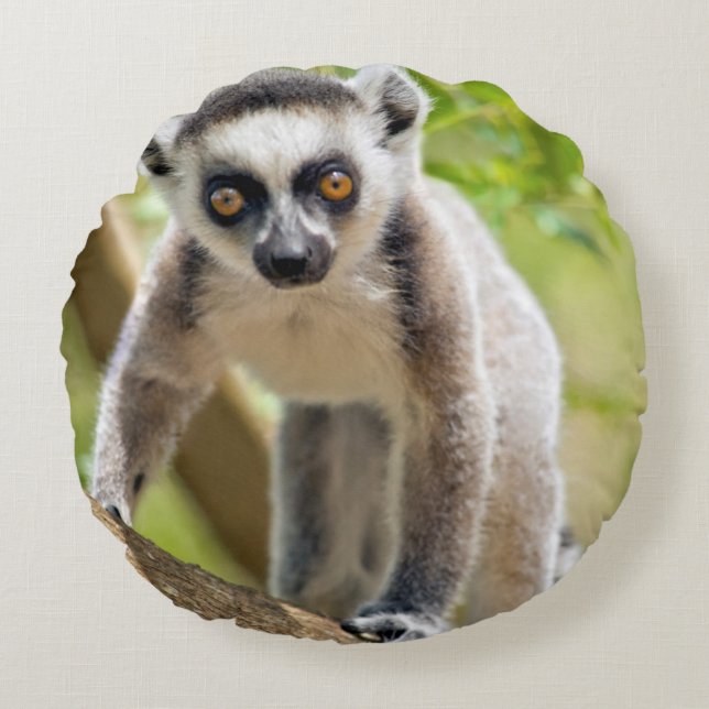 Späd ringstjärtad lemur rund kudde (Framsidan)