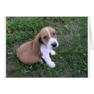 spädbarn (8) hälsningskort