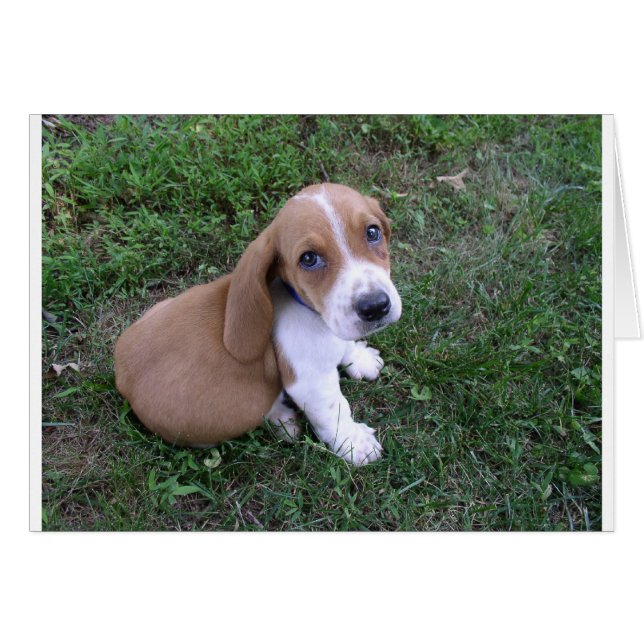 spädbarn (8) hälsningskort (Framsidan Horizontal)