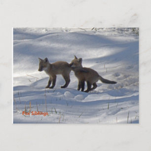 spädbarn, Fox Syskon Vykort