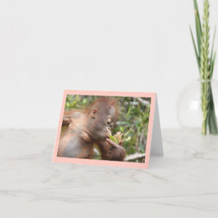 Spädbarn med Orangutan med tropiskt blomma Kort