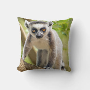 Spädbarn ringstjärtad lemur kudde