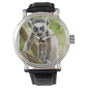 Spädbarn ringsvanslemur armbandsur