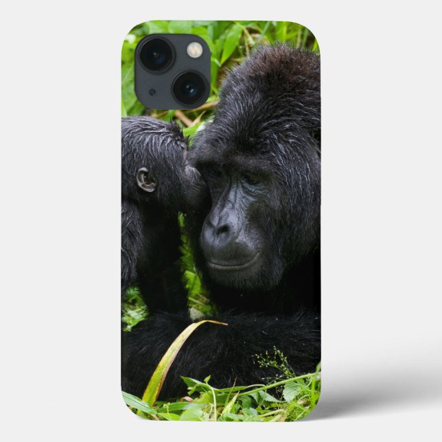 Spädbarnsberg Gorilla Kisses Silverback Gorilla (Baksida)
