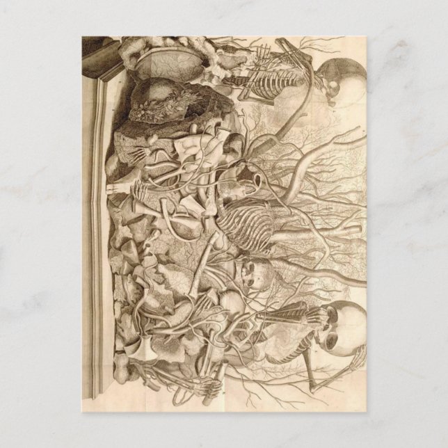 Spädbarnsskavare Vykort (Framsida)