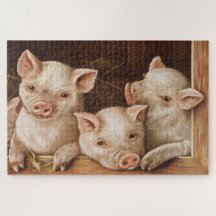 Spädda smågrisar i en lada på gården