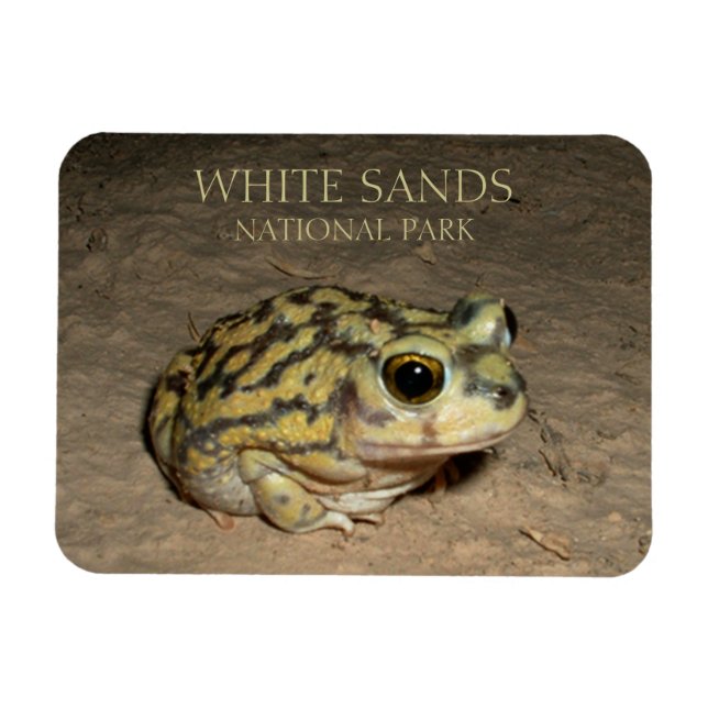 Spadefoot Toad, White Sands National Park Magnet (Horisontell)