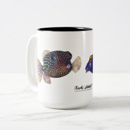 Spagad boxfish-par, Ostracion meleagris Två-Tonad Mugg