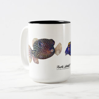 Spagad boxfish-par, Ostracion meleagris Två-Tonad Mugg