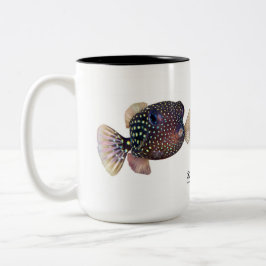 Spagad boxfish-par, Ostracion meleagris Två-Tonad Mugg