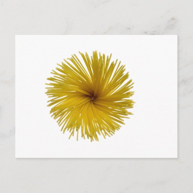 Spaghetti-blomma Vykort (Framsida)