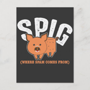 Spam-mapp för Sopor Mail Spam Gris Vykort