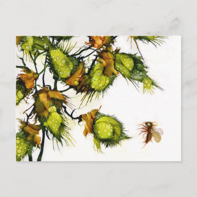 "Spana" vykortet vid JAC Vykort (Framsida)