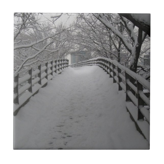 Spång Kakelplatta (Framsidan)