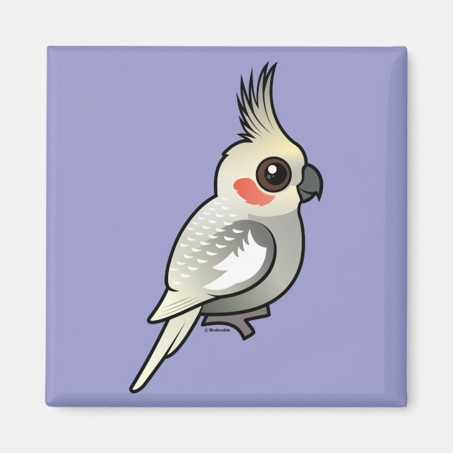 Spangled Cockatiel Magnet (Framsidan)