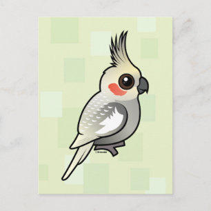 Spangled Cockatiel Vykort