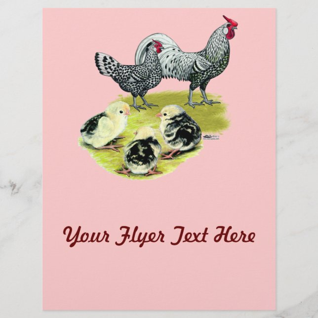 Spangled Hamburg Family Reklamblad (Framsidan)