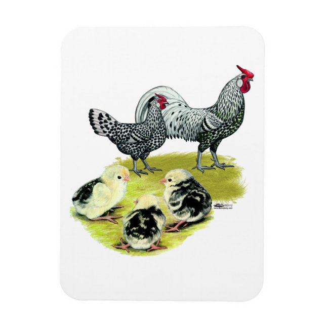 Spangled Hamburgfamilj Magnet (Vertikal)