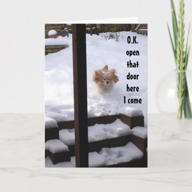 SPANIEL ÄR REDOT ATT SÄGA ***GRATTIS PÅ FÖDELSEDAG KORT (Framsida)