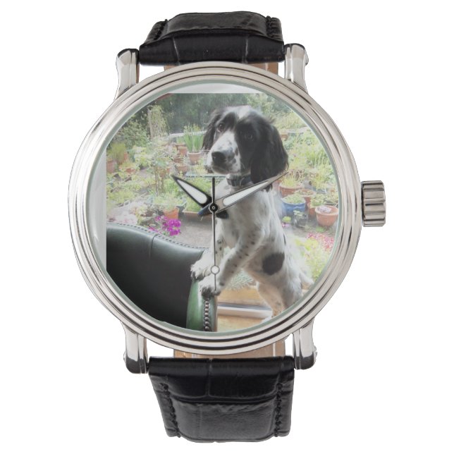 Spaniel Armbandsur (Framsida)