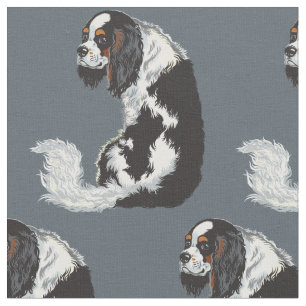 spaniel av kapaliker i kung tyg