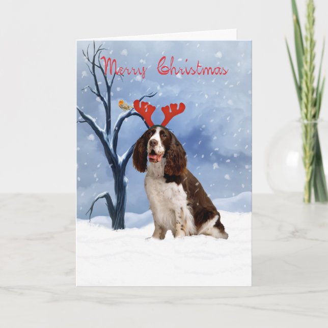 Spaniel christmas-kort - Spanie Helgkort (Framsida)