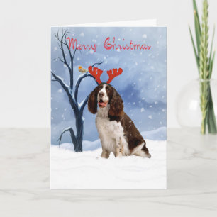 Spaniel christmas-kort - Spanie Helgkort