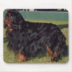 Spaniel för engelsk leksak Mousepad Musmatta