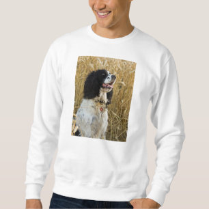 spaniel för engelsk springer i wheat.png lång ärmad tröja