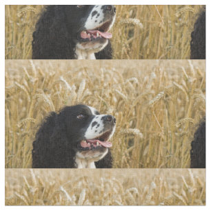 spaniel för engelsk springer i wheat.png tyg