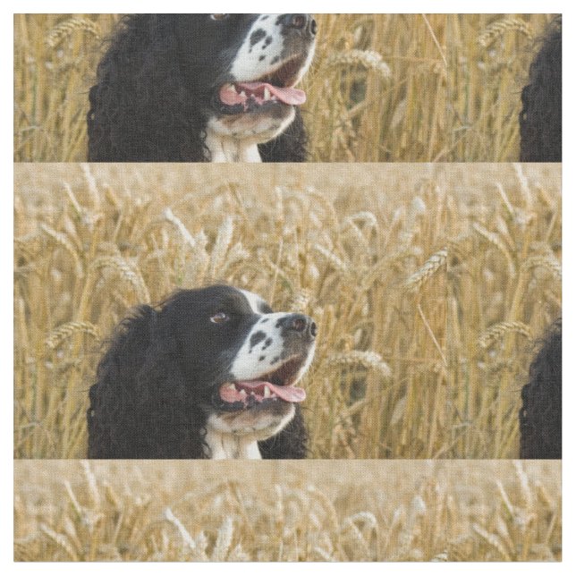 spaniel för engelsk springer i wheat.png tyg (Närbild)