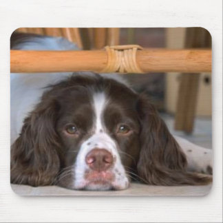 Spaniel för engelsk Springer Mousepad Musmatta