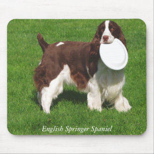 Spaniel för engelsk Springer Mousepad Musmatta
