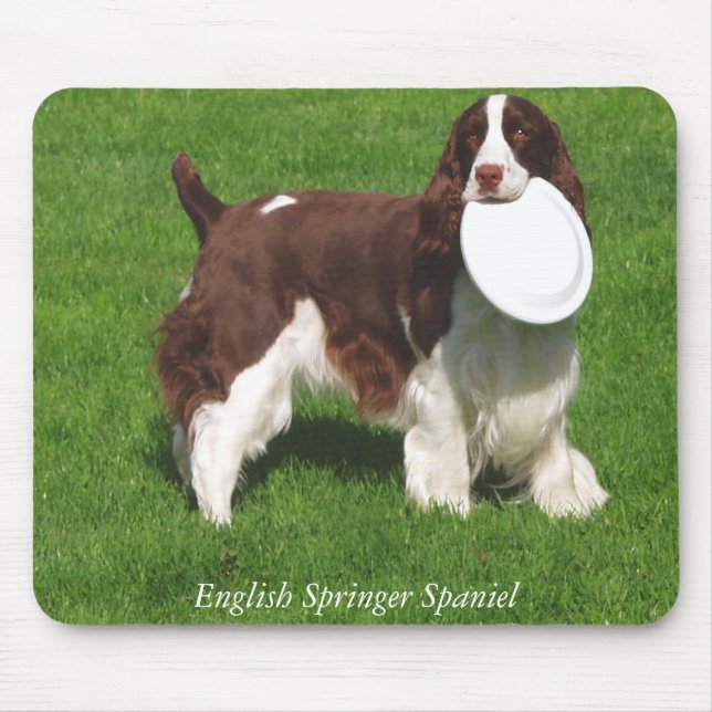 Spaniel för engelsk Springer Mousepad Musmatta (Framsidan)
