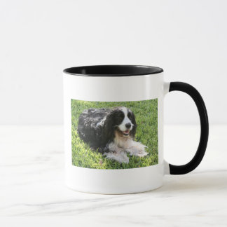 Spaniel för engelsk Springer Mugg
