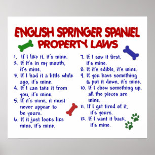 SPANIEL FÖR ENGELSK SPRINGER PL2 POSTER